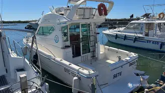 Uniquest Marine Navistar 31