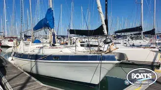 Morgan Yacht Morgan 41