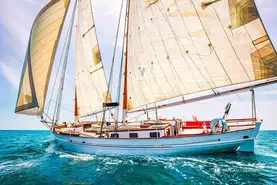 Bombigher Dream 55