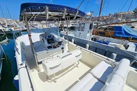 White Shark  285