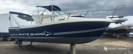 White Shark  237