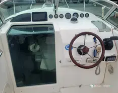 White Shark  237