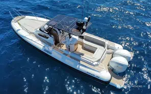 Salpa Soleil 33