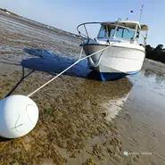 Beneteau Antares 600 HB