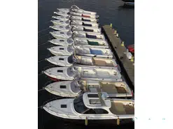 Asterie  35