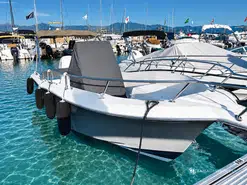 White Shark  226