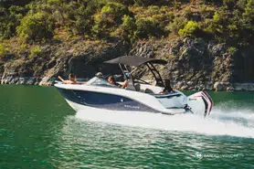 Bayliner V20