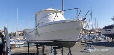 Quicksilver  530 Flamingo