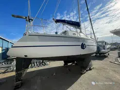 Wrighton Biloup 89