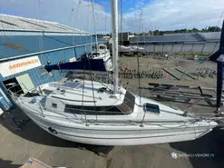 Wrighton Biloup 89