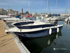 White Shark  228