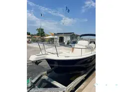 White Shark  225