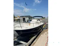 White Shark  225