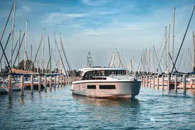 Delphia  11