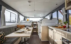 Delphia  12
