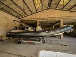 Black Fin Elegance 8