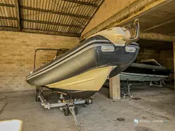 Black Fin Elegance 8
