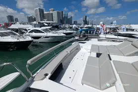 Aquila  50