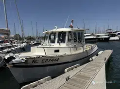 Rhea  28