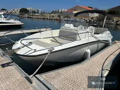 Quicksilver  675