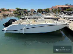Quicksilver  675