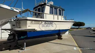 Botnia Marin Tarfish 820