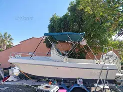Kelt White Shark 175