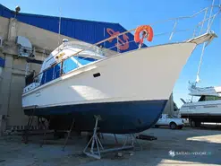 Island Gypsy  40