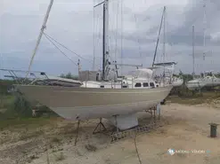 Belliure  40