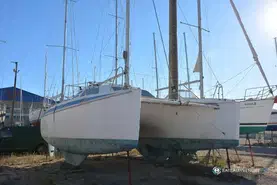 Jeffcat Kiwi 305