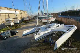 Dragonfly  25