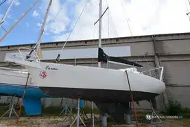 Nautalu Morning Glory 36
