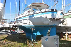 Kirie  33