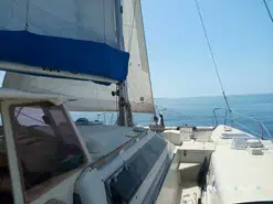 Edel  Cat 35