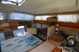 Edel  Cat 35