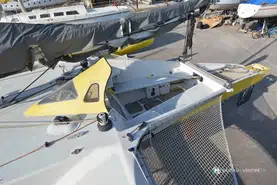 Newick  40