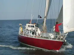 Meta Damien 40