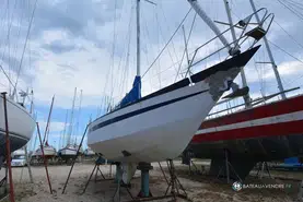 Amateur Reve Des Tropiques