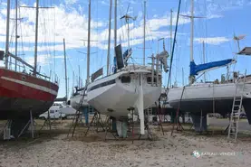 Amateur Reve Des Tropiques