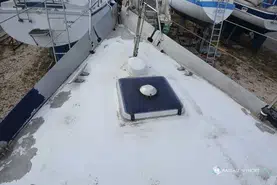 Amateur Reve Des Tropiques