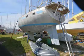 Amateur Reve Des Tropiques