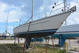 Luffe  46