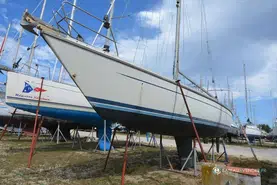 Luffe  46