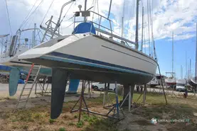 Luffe  46