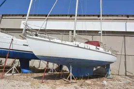 Amel Euros 39