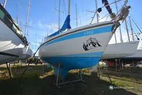 Kirie Fifty 33
