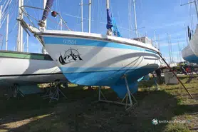 Kirie Fifty 33