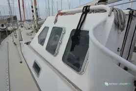 Meta Dalu 47