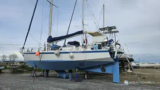 Meta Dalu 47