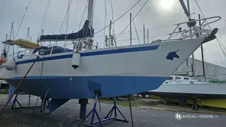 Meta Dalu 47